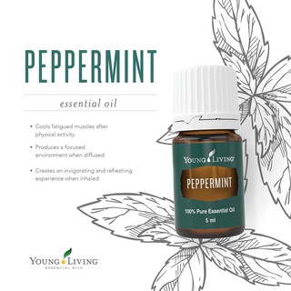 On hand! Young Living Essential Pure Oil Peppermint 5ml/15ml (Sealed)