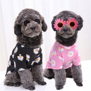 Dog cat clothes pet supplies spring, summer, autumn thin dress teddy suits young small medium-sized fight than the bear