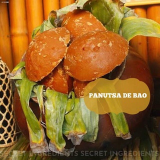 Sugar❒PANUTSA DE BAO (sugar cane chunk)