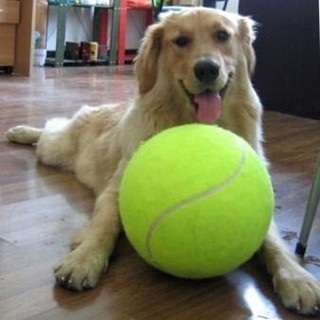 New Big Giant Pet Dog Tennis Ball Petsport Thrower Chucker Launcher Play Toy