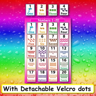 wall chart Educational number laminated chart 1 to 20 with velcro