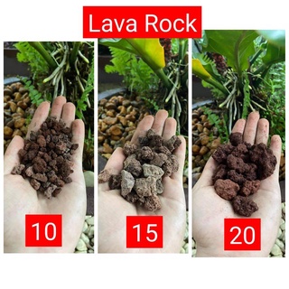 (1kg/kilo) Lava Rocks Red/ Volcanic Rock (#10, #15, #20)