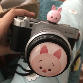 Piglet Cartoon Lens Cap or Hotshoe Cover