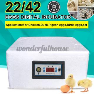 22pcs/32pcs/42pcs water bed incubator incubator automatic small household water bed incubator chicken duck goose pigeon peacock incubator (2)