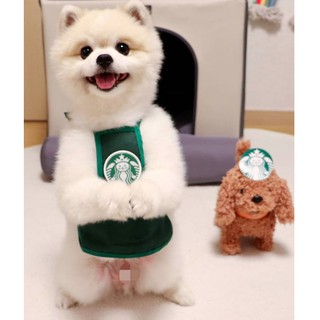 INS grams of Starbucks Korea Star Cat pet clothes small dog Teddy bibs bib aprons clothes cats and dogs (5)