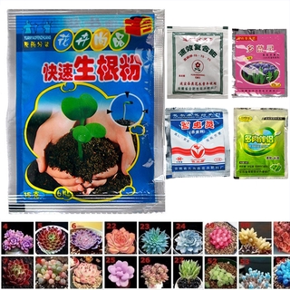 Fast Plant Tree Flower Succulent Rooting Powder Quick Growth Transplant