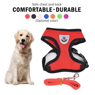 Cute Dog Harness Puppy Fashion Mesh Vest + Leash Lead Set Pet Clothing