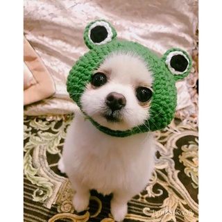 Transvestite Cap~Pet Knitted Hat Frog Headgear Children's Wool Hat Dog Headgear Cat Headdress