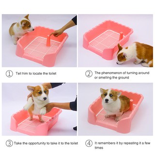 Pet dog spray guide Dog toilet training Puppy locating defecation pet potty training spray dog (2)