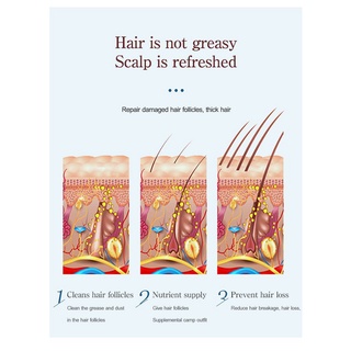 Ginger shampoo nourishing and repairing hair ends, moisturizing scalp shampoo (5)