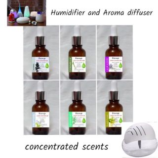 Humidifer Scent Concentrated Watersoluble Oils