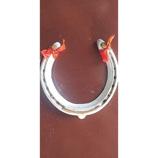 lucky charm horse shoe