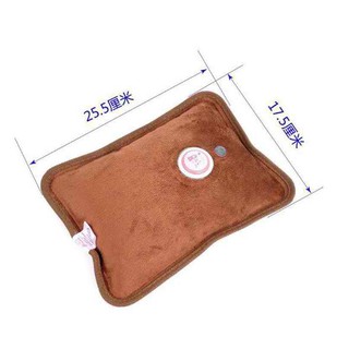 Electrothermal Water Bag Fashion Electric heater (4)
