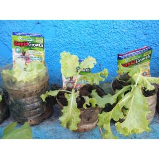 【spot goods】 ◐Original Rapid Growth Rooting powder Organic Fertilizer plant growth stimulant soil co