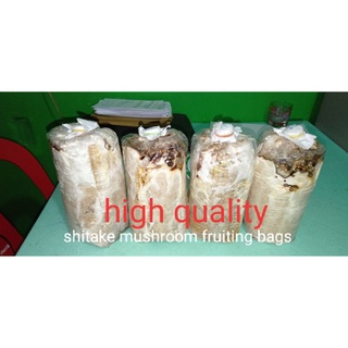 Shitake mushroom fruiting bags