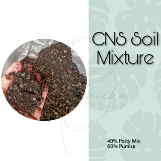 CNS Soil Mixture (Cactus and Succulent Soil Mix) 1KG