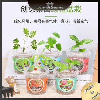R102 COD Cute Small Green Succulent Artificial House Plants Ceram
