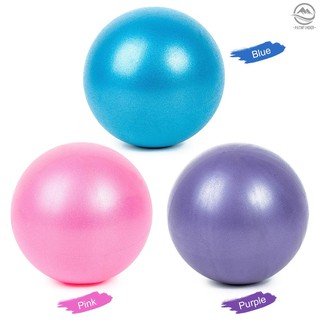 Pathfinder 25cm 2 Pcs Yoga Ball Anti-burst Thick Stability Ball Mini Pilates Barre Physical Ball