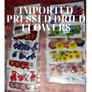Imported Pressed Dried Flowers