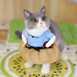 EBL Funny Fashion Pet Dog Cat Upright Clothes Costume Dress Doctor Nurse Princess Cowboy Bachelor Em