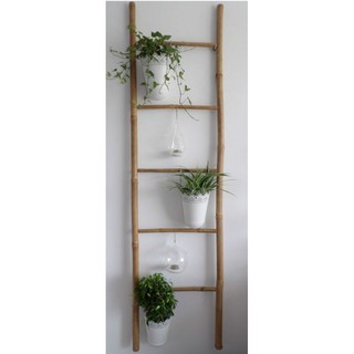Decorative Bamboo ladder (1)