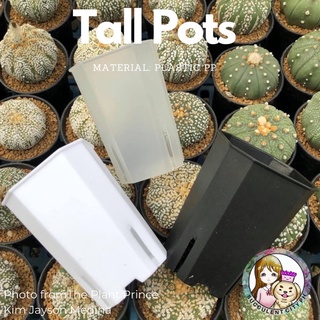 Black and White Plastic Tall Pots for Cactus and Succulents