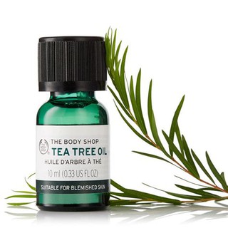 Authentic The Body Tea Tree Oil (1)