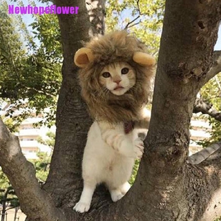 [NFPH] Pet Dog Hat Costume Lion Mane Wig For Cat Halloween Dress Up With Ears