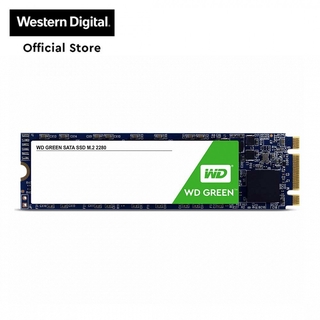 WD Green 240GB M.2 2280 SSD Internal Solid State Drive (WDS240G2G0B)