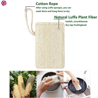 Loofah Rectangular Kitchen Sponge & with Drying Rope. (1)