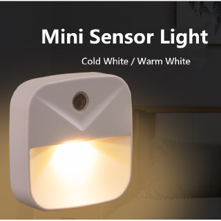 Light Dusk-to-Dawn EU Plug Control Night Light Sensor Mini Lights AC 220V Led Wall Lamp For Kids Bedroom Bedside Indoor Lamps