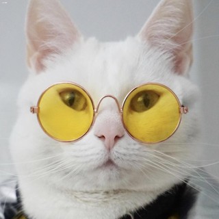 Eyewear▤Pet Dog Cat Pet Shades Pet Sunglasses