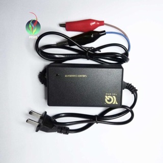 MSM Motorcycle Battery Smart Charger For 12 Volts