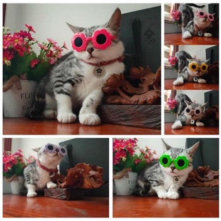 pet EyewearCat Pet Kitten Puppy Dogfight Dog Glasses Sun Windproof Small Sunglasses Private Network