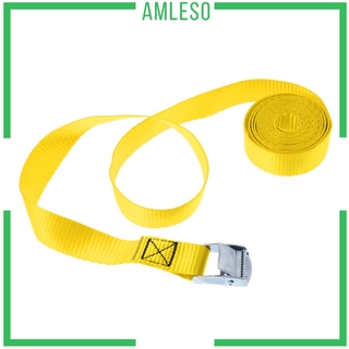 [AMLESO] Polyester Cam Buckle Tie Down Strap Cargo Luggage Belt Metal Buckle 25mm x 2.5m