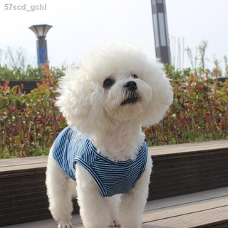 ♛☇▬Pet clothes Pure cotton summer thin vest stretch Teddy Bichon Schnauzer Pomeranian small dog T-sh