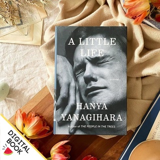A Little Life by Hanya Yanagihara HappyReads