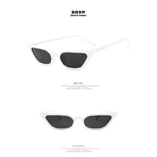 Fashion Cat Eye Sunglasses Transparent Small Frame Sunglasses (8)