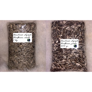 Sunflower seeds - 1kg small // 500gr jumbo (1)