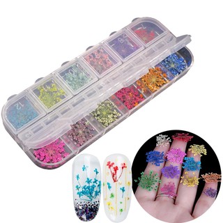 Dry Flowers Nail Art Decoration 3D Nail Art Floral Sticker Manicure Tools nail art tools set nail stickers design nails