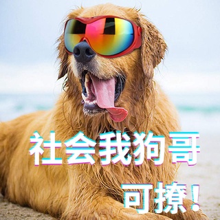 ◈Pet glasses, dog supplies, goggles, waterproof, windproof, sunscreen and UV protection