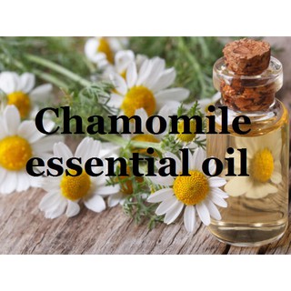 Chamomile essential oil (30ml, 50ml, 100ml)