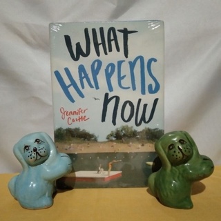 Hardcover | What Happens Now by Jennifer Castle | Brand New Sealed