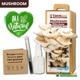 Mushroom Grow Kit • Organic Mushroom • White Oyster Mushroom • Grow Bag • FarmJoe