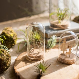 ✨Glass Dome Cover+Base✨Decorative Clear Glass Bottle Cloche Bell Jar Display Case Cover Wood Base Centerpiece Landscape Vase Glass Vase