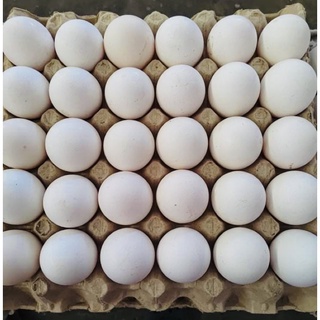 Hi Farm Fresh Eggs Large 1 Tray