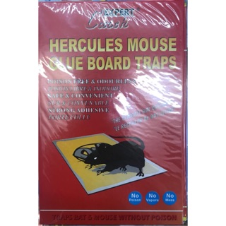 Mouse Glue board traps