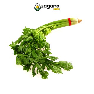 Zagana Farm Fresh Celery 500G