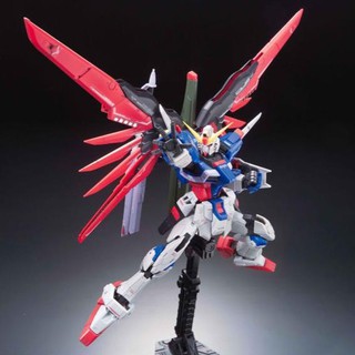 Gundam RG Model Kit: Destiny Gundam (4)