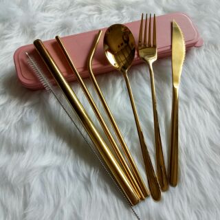 Stainless Utensil Set with Straw and Knife (3)